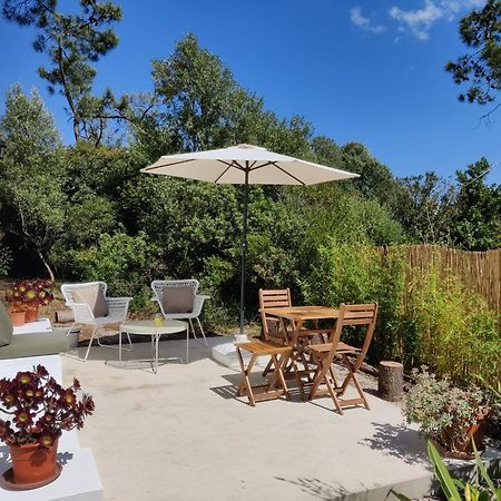 Quinta Do Alento Bed and Breakfast Sesimbra Buitenkant foto