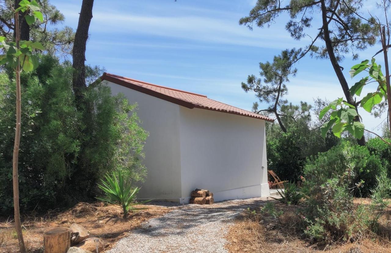 Quinta Do Alento Bed and Breakfast Sesimbra Buitenkant foto